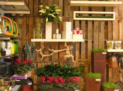 Photo of Vessel/Potted Up