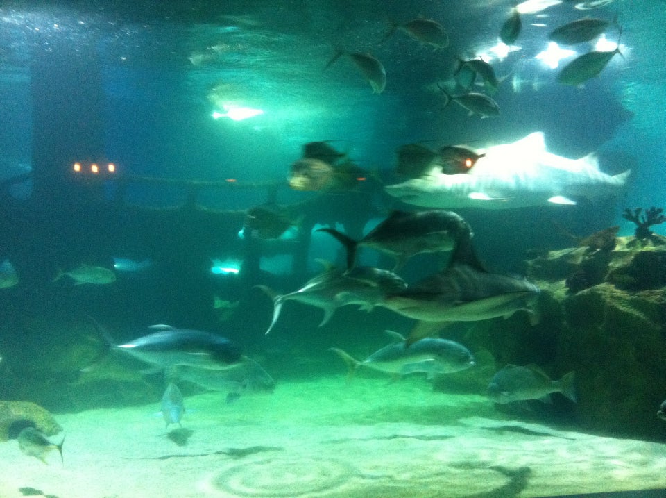 Photo of Greater Cleveland Aquarium