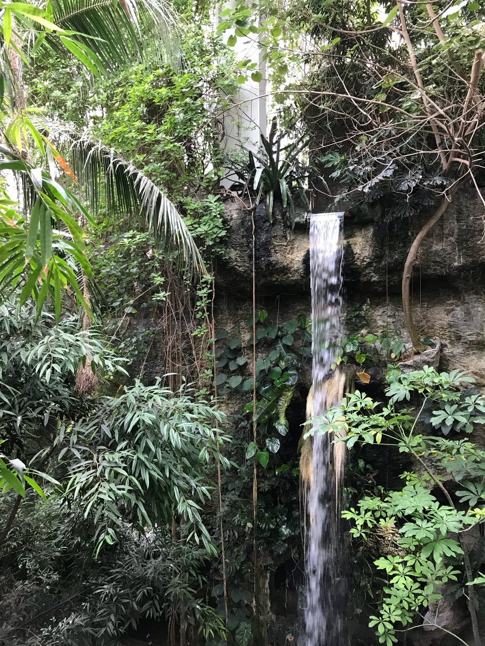 Photo of Dallas World Aquarium