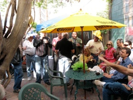 Photo of The Briar Patch