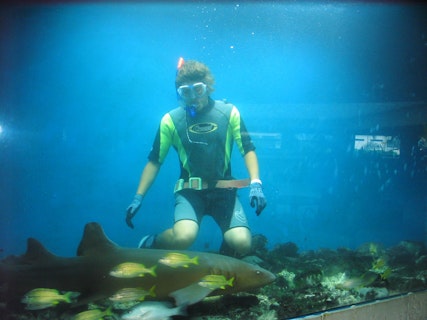 Curaçao Seaquarium