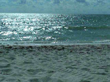 Photo of Naples Beach