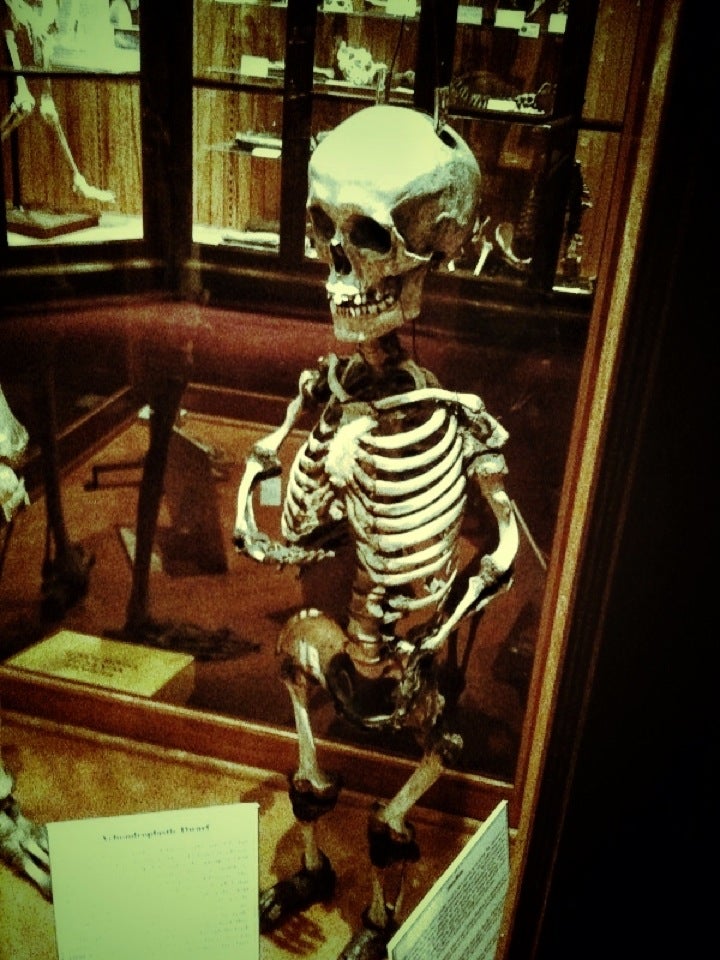 Photo of The Mütter Museum at The College of Physicians of Philadelphia