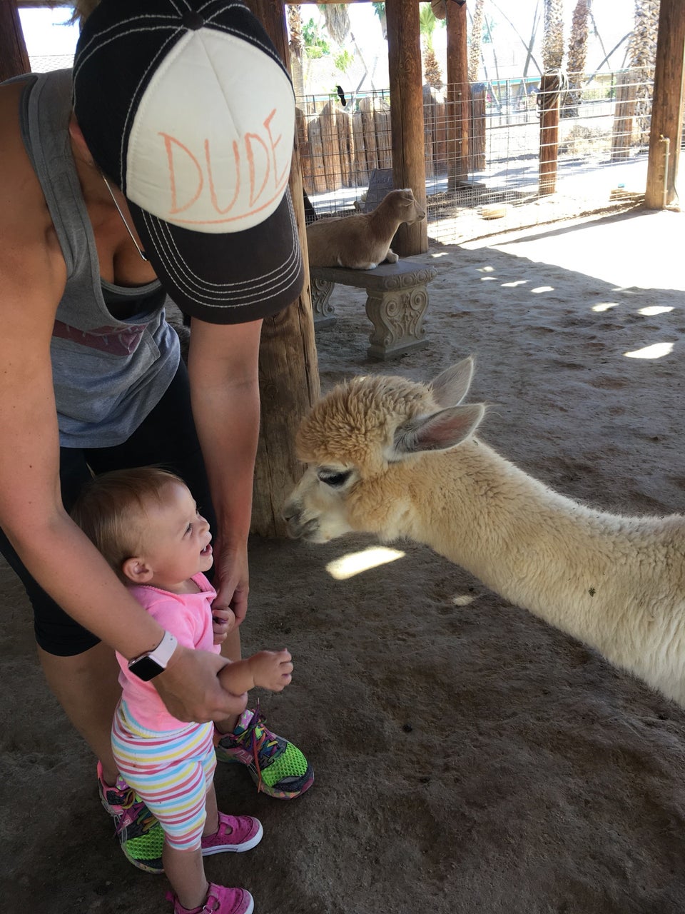 Photo of Wildlife World Zoo, Aquarium & Safari Park