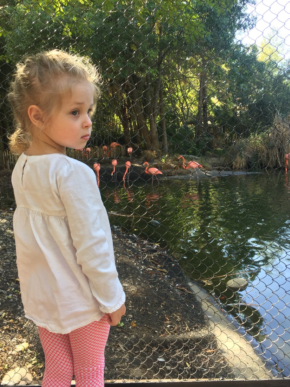 Photo of Sacramento Zoo