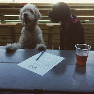 Photo of The Dog Bar