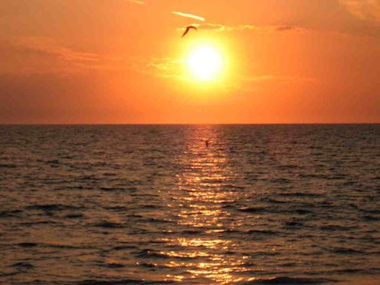 Photo of Pass-a-Grille Beach
