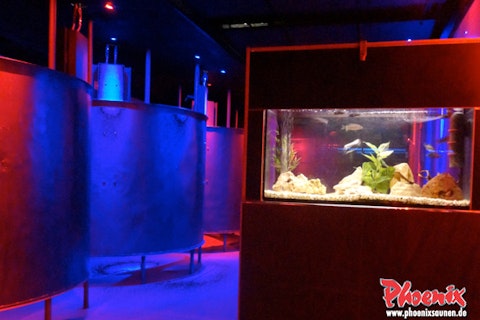Photo of Phoenix Sauna Düsseldorf