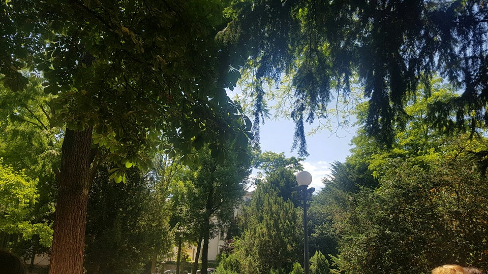 Photo of Liebieghaus