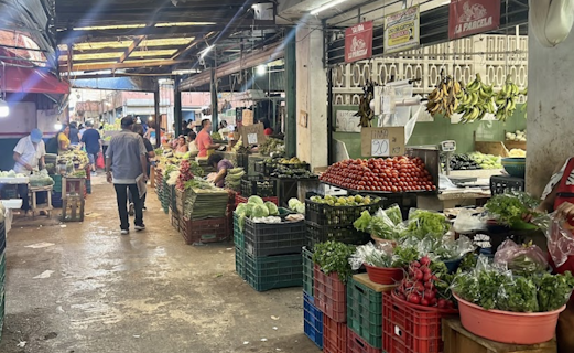 Photo of Mercado San Benito
