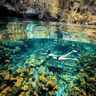 Photo of Two Eyes Cenote